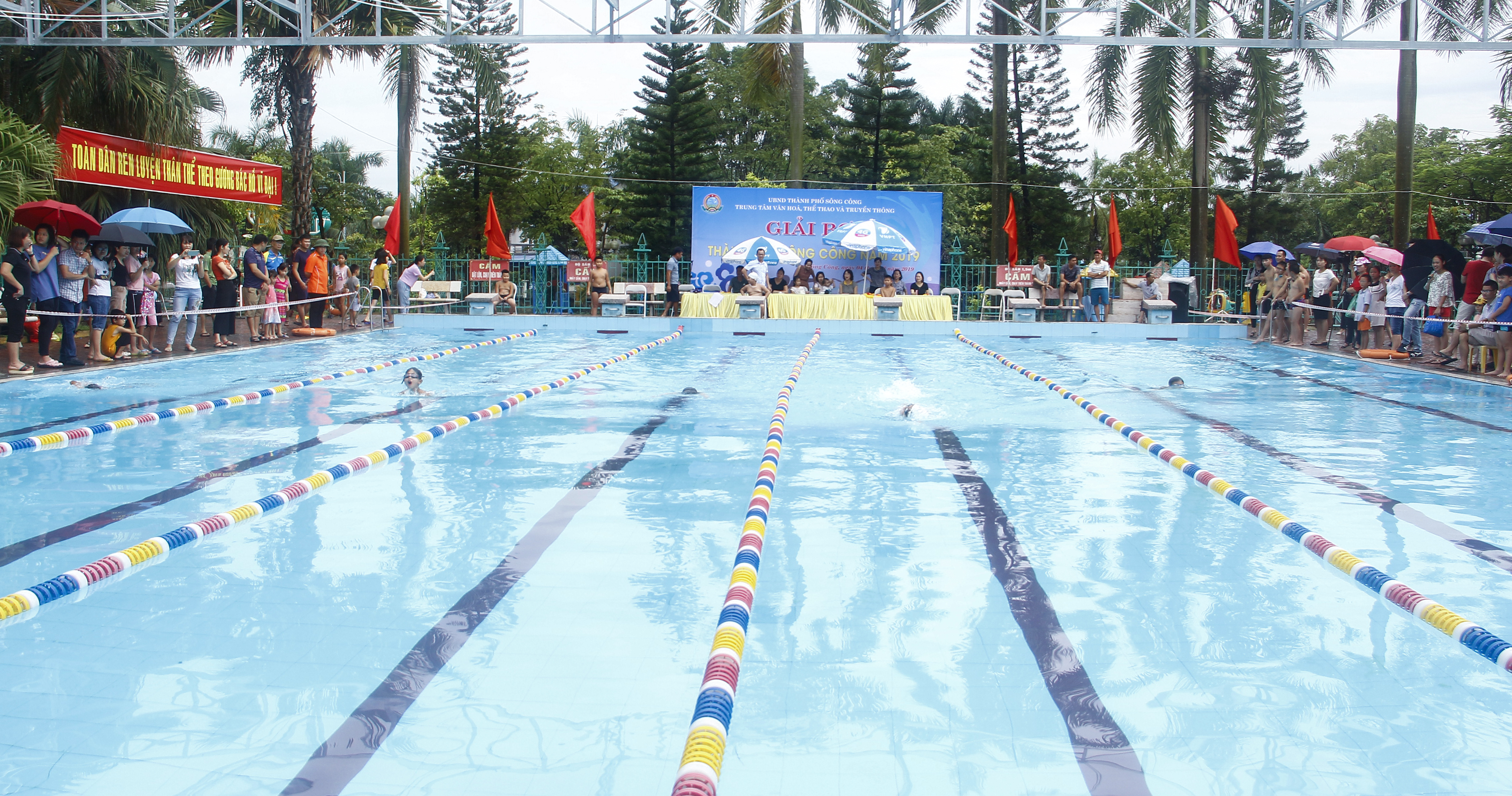 Toàn cảnh khu vực Giải bơi thiếu niên, nhi đồng năm 2019 được tổ chức tại Bể bơi Trung tâm Văn hóa, Thể thao và Truyền thông thành phố